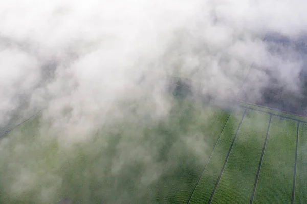 北海道十勝の霧の風景 — ストック写真