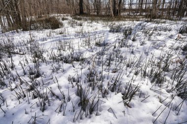 Çözülmeden önce Hokkaido manzarası