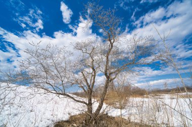 Çözülmeden önce Hokkaido manzarası
