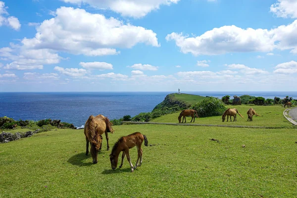 Yonaguni Adasında Okinawa — Stok fotoğraf