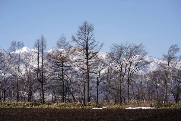 Hidaka Berg Winter Hokkaido — Stockfoto