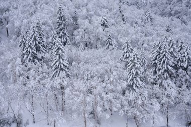 Hokkaido japan 'da kış dağı