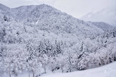 Hokkaido japan 'da kış dağı