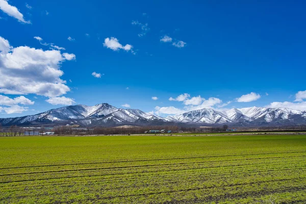 Céu Azul Campo Verde Primavera Hokkaido — Fotografia de Stock