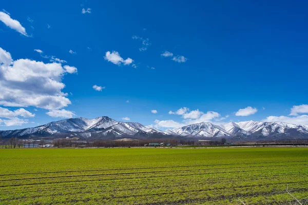 Céu Azul Campo Verde Primavera Hokkaido — Fotografia de Stock