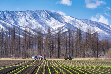 Bahar Hokkaido 'daki dağ ve tarla
