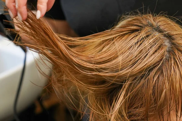 Hair Set Hair Salon — Stock Photo, Image