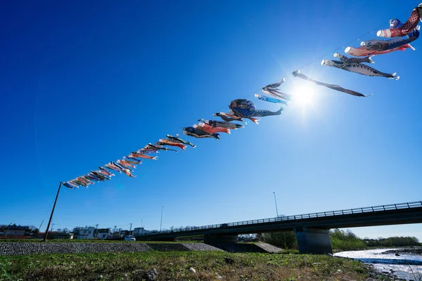 Koinobori Simning Blå Himmel Japan — Stockfoto