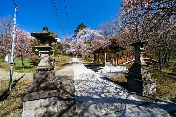 Třešňové Květy Japonské Svatyni — Stock fotografie