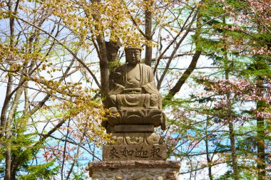 Buda heykeli ve kiraz çiçekleri