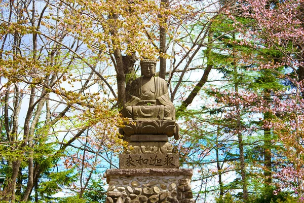 Statue Bouddha Fleurs Cerisier — Photo