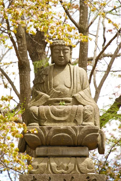 Estátua Buddha Flores Cereja — Fotografia de Stock