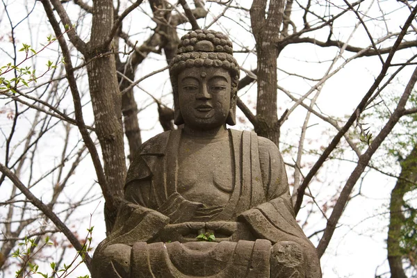 Statue Bouddha Fleurs Cerisier — Photo