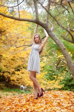 güzel kız elbise ve ayakkabı sonbahar parkta ayakta tutun