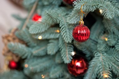 şenlikli bir Noel tre bir dalda asılı kırmızı Noel oyuncak