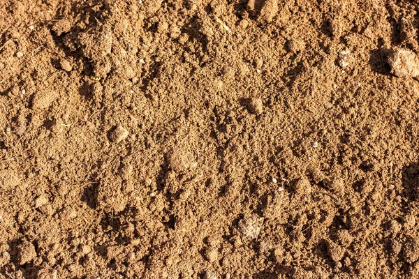 stock image Brown Ground texture 