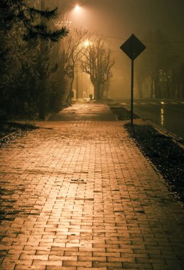 Yol sisli bir gecede tarafından ıslak kaldırım işaretleri.