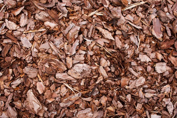 Mulch Bark Texture background — Stock Photo, Image