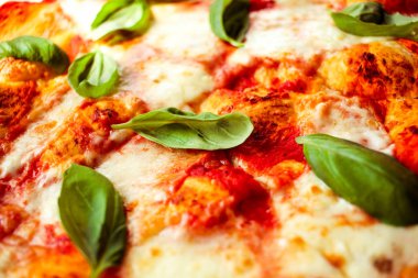 Dilim peynir ve baharat ile pizza ve fesleğen yaprakları kapatmak 