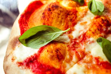 Dilim peynir ve baharat ile pizza ve fesleğen yaprakları kapatmak 