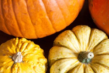 Renkli kabaklar ve bir mutfak squashes bileşimi bir 