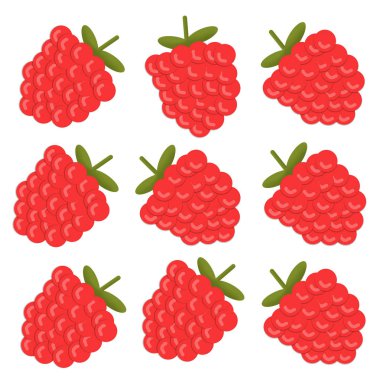 Birçok çizilmiş Kırmızı Ahududu beyaz arka plan üzerinde gösterimi