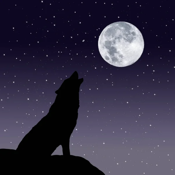 Howling wolf with the full moon in a starry night