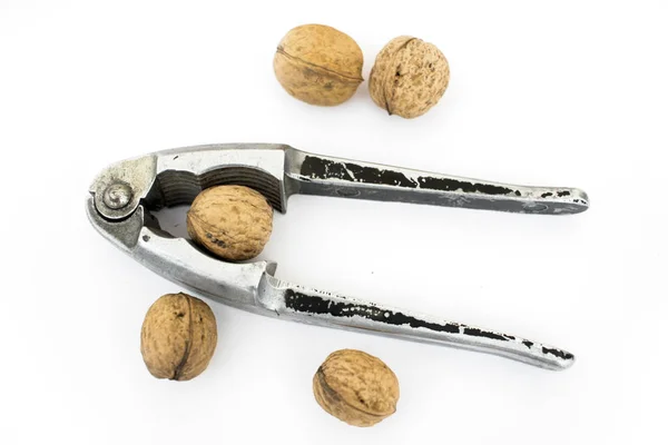 Old nut cracker isolated on white background with nuts — Stock Photo, Image