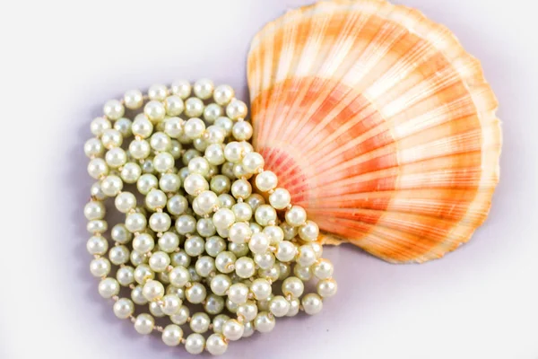 Sea themed simple composition: sea shells and pearls
