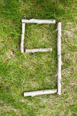 Numaraları yeşil bahar çimen tahta sopalarla yapılan: sayı 9