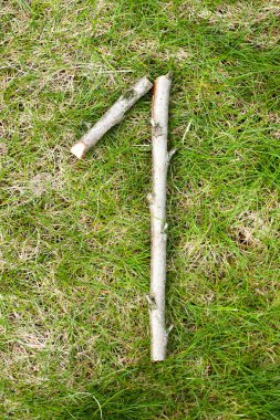 Numaraları yeşil bahar çimen tahta sopalarla yapılan: sayı 1