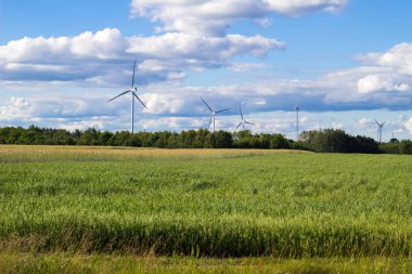 Çayır fabrikaları ile. Sıcak hoş güneşli gün, mavi ve yeşil alan