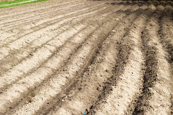 Champ labouré agricole et le sol en perspective de printemps vue — Photo