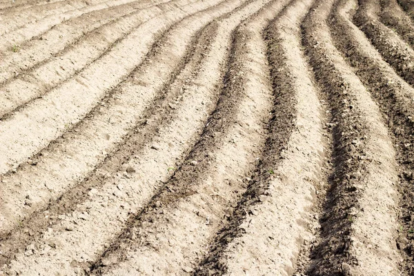 Champ labouré agricole et le sol en perspective de printemps vue — Photo