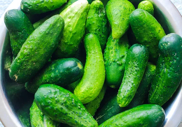Fresh green cucumbers in a metallic bowl close up background — Stock Photo, Image