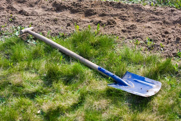 Yakın yeşil çimenlerin üzerinde mavi Küreği, bahar işleri