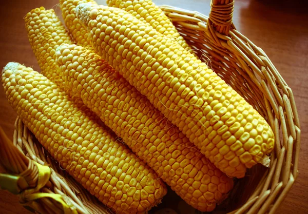 Composition of maze or corn in weave basket. Autumn harvest deta — Stock Photo, Image
