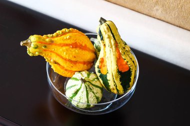 Dekoratif renkli balkabağı desenleri ile. Sarı, turuncu yeşil