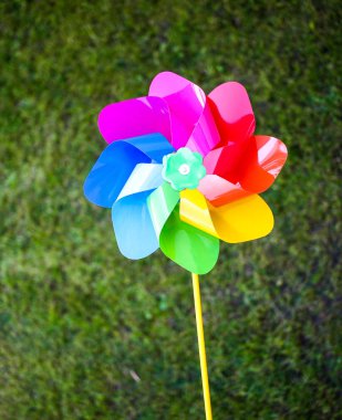 Çok renkli fırıldak parlak canlı yeşil çim zemin üzerine.