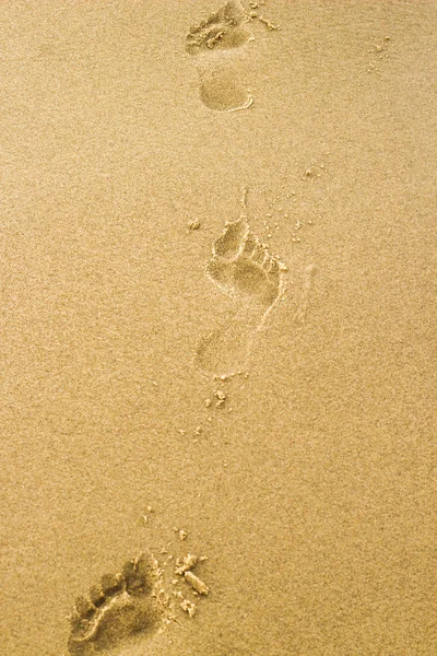 Veel voetafdrukken op zand op strand aan zee. Blote voeten — Stockfoto