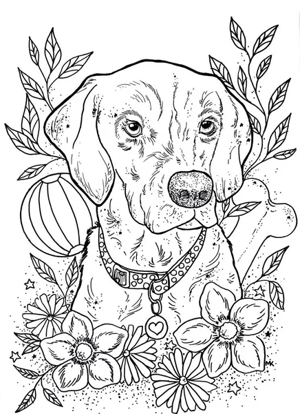 Ilustración dibujada a mano en blanco y negro de un perro con flor y —  Fotos de Stock