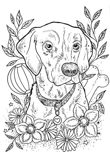 Mão desenhado a preto e branco ilustração de um cão com flor e Fotografia De Stock