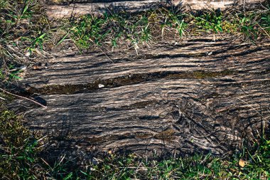 Eski eski ahşap kırık tahtası bacgkround çim ile. Co