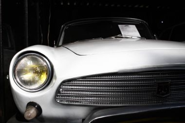 Polonya, Otrebusy, 31 Mart 2017: yaprak yakın görünümü üzerinde bir ışık kadar 