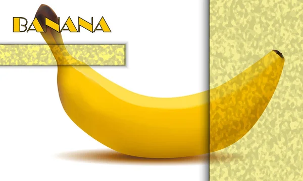 Infografías en blanco sobre el plátano. Selección de granos amarillos claros — Archivo Imágenes Vectoriales