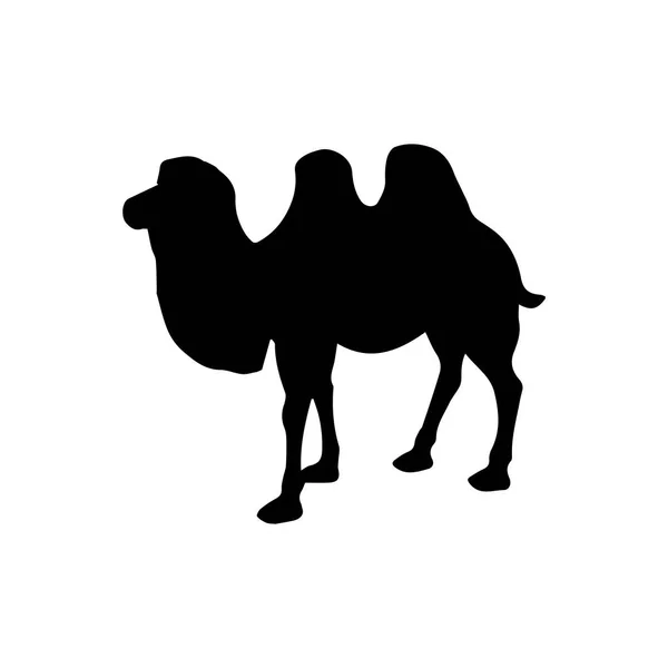 Silhouette of a camel — Stock Vector © Dark_Winter #5204699