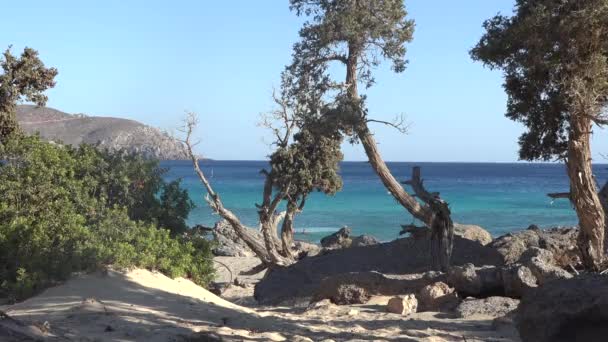 Kedrodasos 克里特岛希腊 — 图库视频影像