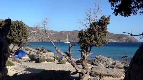 Kedrodasos Kreta Grekland — Stockvideo