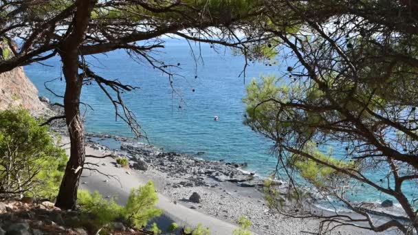 Den Vakre Kysten Den Sørlige Kreta Stranden – stockvideo