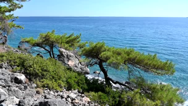 Прекрасна Берегова Лінія Південного Узбережжя Криту — стокове відео